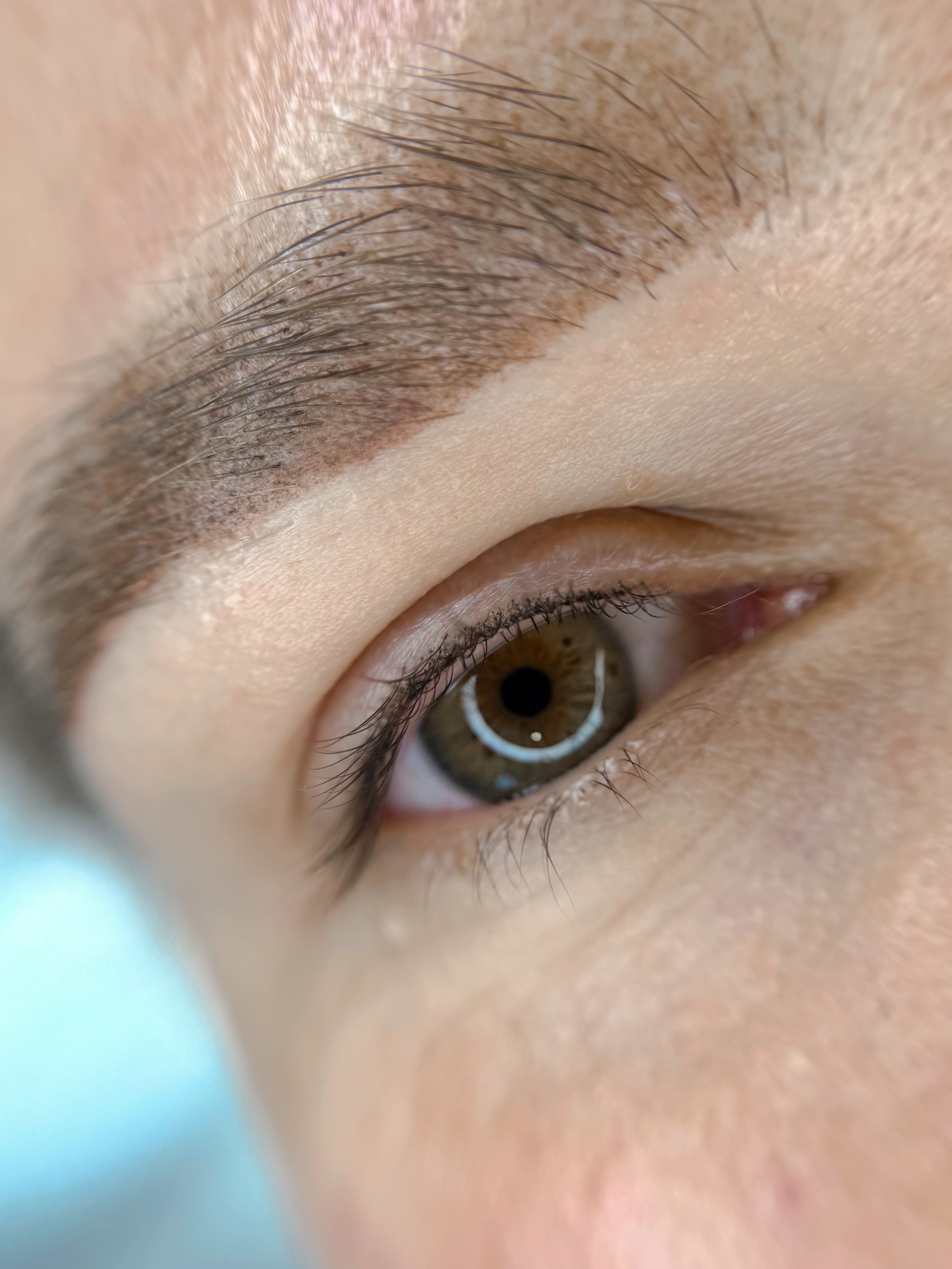 eyelash-line-1