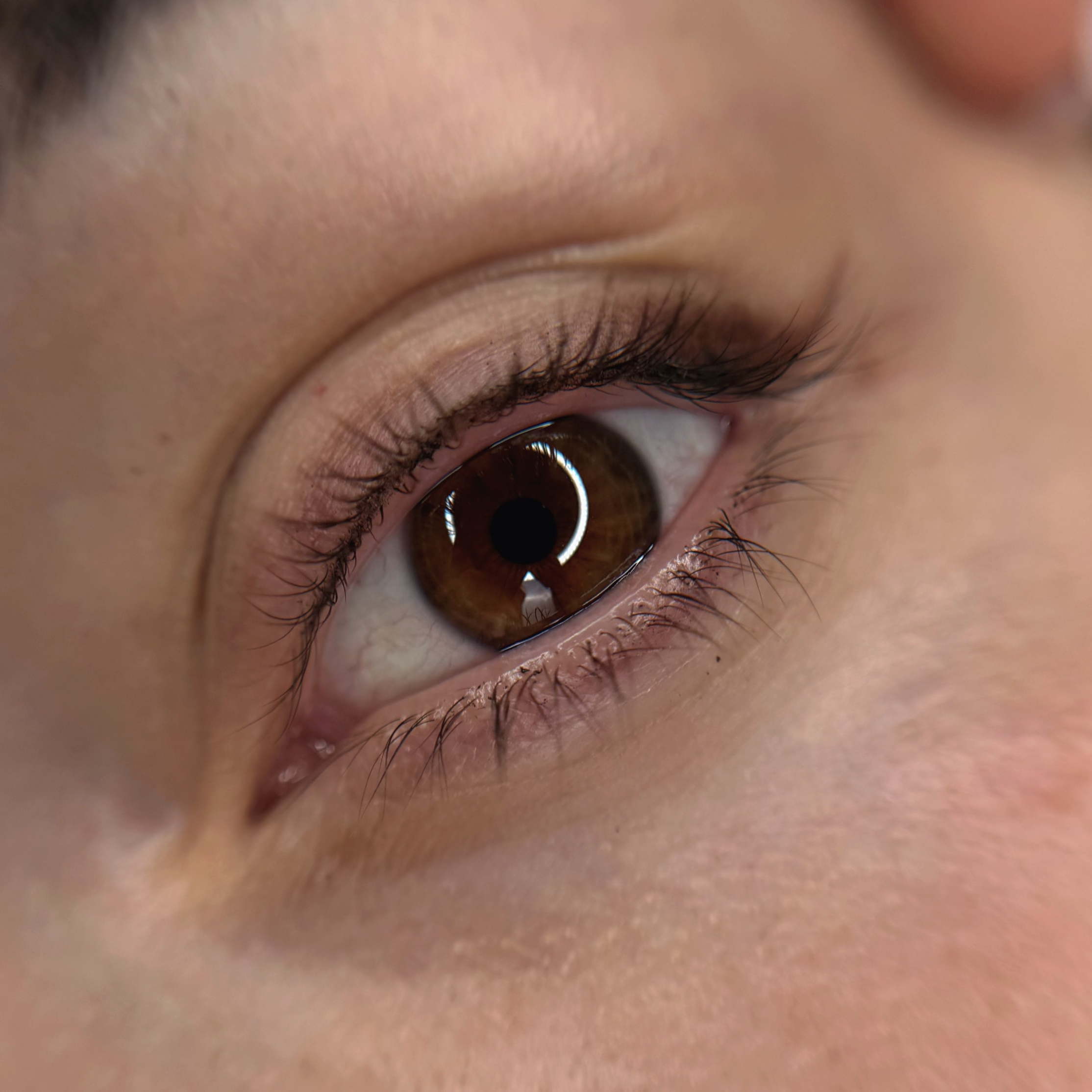 shaded-eyeliner-1